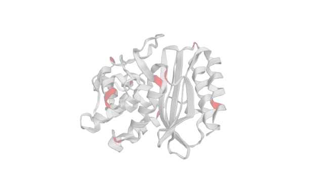 Antibiotic Resistance