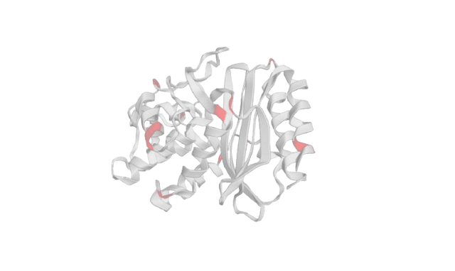 structure